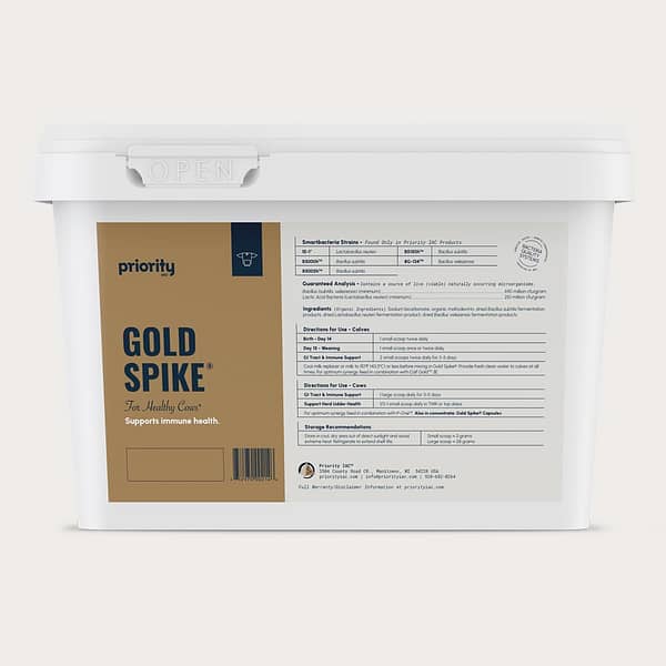 Gold Spike Powder for cows in a bucket.